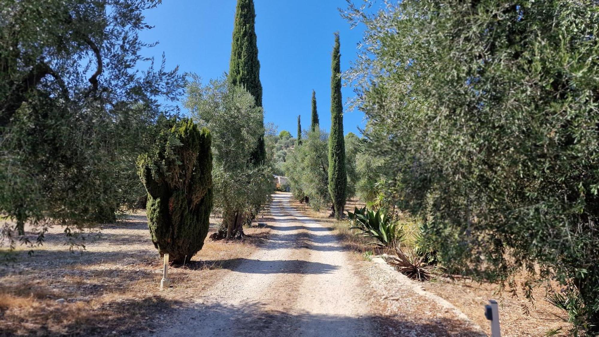 Le Fronde Vieste Exterior foto